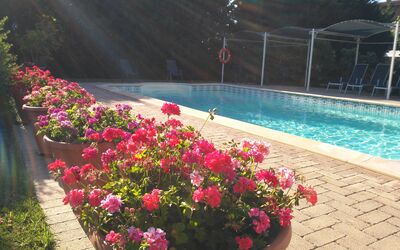 Il Casale Di Quirina: Flower, Water, Plant, Petal, Flowerpot, Botany, Tree, Landscape, Swimming Pool, Groundcover