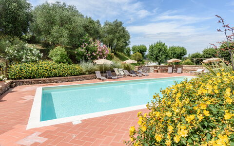 Villa Varna: Water, Cloud, Sky, Plant, Swimming Pool, Flower, Tree, Body Of Water, Grass, Leisure