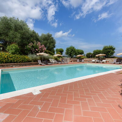 Villa Varna: Water, Plant, Cloud, Sky, Property, Swimming Pool, Body Of Water, Tree, Flower, Shade