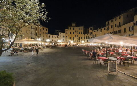 Loft Lucca: Building, Tent, Plant, Leisure, Tree, City, Urban Area, Mixed-Use, Road Surface, Human Settlement