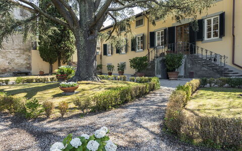 Villa San Gennaro: Plant, Building, Window, Tree, Botany, Vegetation, Road Surface, House, Flower, Grass