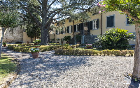 Villa San Gennaro: Plant, Building, Property, Window, Botany, Tree, Road Surface, Sky, Vegetation, Land Lot
