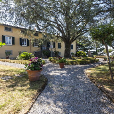 Villa San Gennaro: Plant, Building, Window, Tree, Sky, Road Surface, Land Lot, House, Landscape, Grass