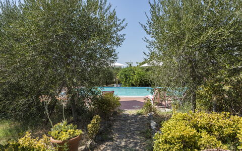 Villa Cevoli: Plant, Water, Plant Community, Sky, Natural Landscape, Tree, Vegetation, Shrub, Grass, Swimming Pool