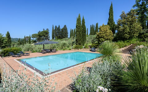 Villa Pancole: Water, Plant, Sky, Tree, Nature, Azure, Grass, Swimming Pool, Natural Landscape, Leisure