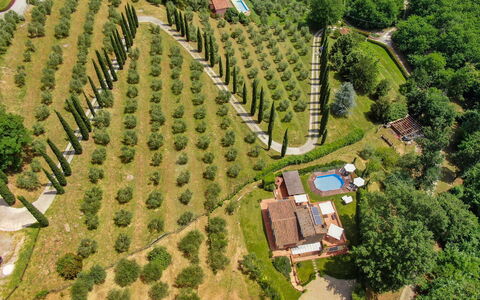 La Quiete: Plant, Property, Natural Landscape, Land Lot, Tree, Urban Design, Building, Grass, Rural Area, Leisure