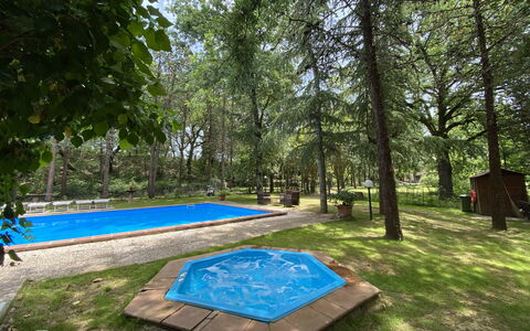 Villa Pania: Plant, Property, Tree, Botany, Shade, Natural Landscape, Vegetation, Grass, Rectangle, Leisure