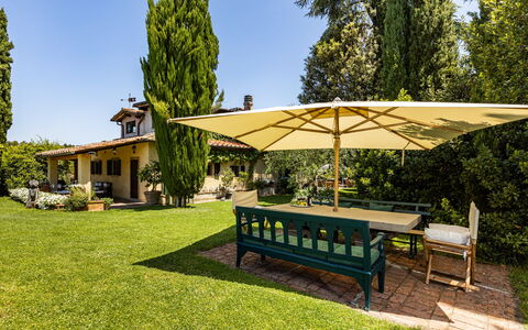 Podere La Torre: Plant, Table, Sky, Furniture, Tree, Outdoor Bench, Shade, Outdoor Furniture, Outdoor Table, Land Lot