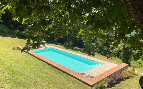 San Tommaso: Plant, Swimming Pool, Water, Rectangle, Shade, Grass, Leisure, Shrub, Landscape, Groundcover