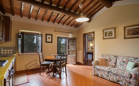 Accommodation:&nbsp;Cipressi