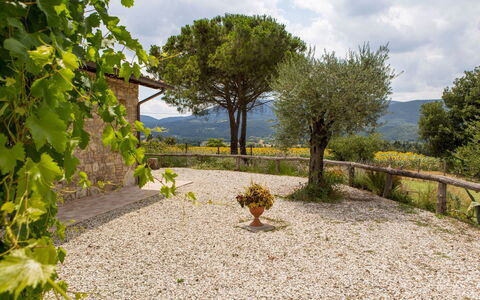 Villa Tavernacce: Sky, Cloud, Plant, Plant Community, Tree, Natural Landscape, Road Surface, Land Lot, Grass, Shrub