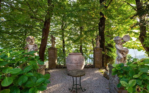 Villa Torreone: Plant, Tree, Natural Landscape, Terrestrial Plant, Biome, Grass, Shade, Shrub, Trunk, Art