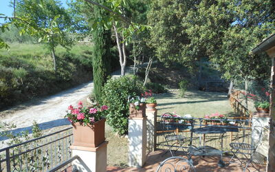 From the kitchen terrace.