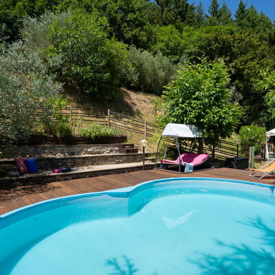 Villa La Vigna: Water, Plant, Property, Swimming Pool, Nature, Azure, Tree, Building, Shade, Outdoor Furniture