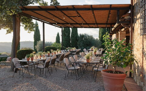 Villa Sulle Crete: Plant, Table, Furniture, Property, Flowerpot, Shade, Chair, Outdoor Table, Tree, Outdoor Furniture
