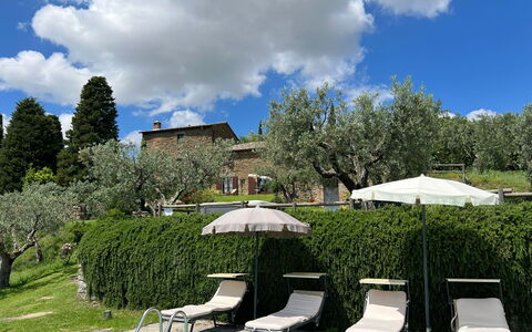 Villa Patrizia: Cloud, Plant, Sky, Plant Community, Umbrella, Nature, Tree, Natural Landscape, Shade, Vegetation