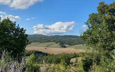 Podere Monteguidi