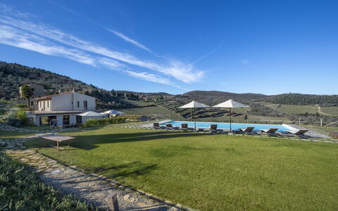 Bella Di Panzano: Sky, Cloud, Plant, Mountain, Highland, Land Lot, Grass, Window, Natural Landscape, Grassland