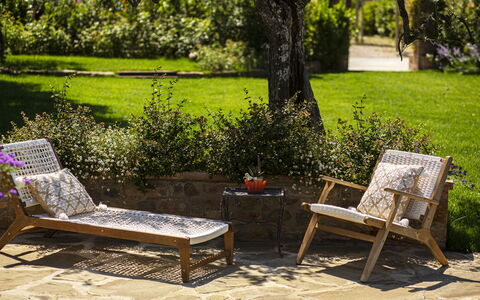 Casa Vacanze Paradiso: Furniture, Plant, Outdoor Bench, Green, Botany, Nature, Leaf, Wood, Outdoor Furniture, Tree