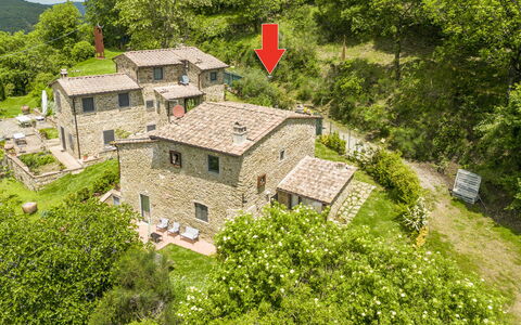Casa Bosco D'arte Holiday Home , Greve In Chianti,: Building, Plant, Green, Tree, Natural Landscape, Land Lot, House, Window, Grass, Groundcover