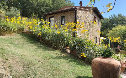 Casa Bosco D'arte Holiday Home , Greve In Chianti,: Flower, Plant, Building, Plant Community, Window, Sky, Natural Landscape, Tree, House, Land Lot