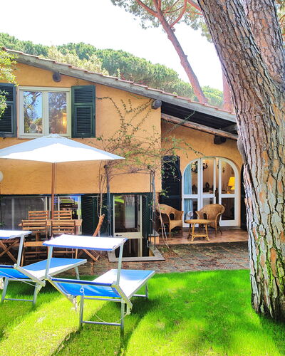 Le Dune: Plant, Property, Building, Window, Tree, Sky, Shade, Chair, Outdoor Furniture, Umbrella