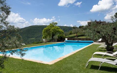 Villa Olivi - Subbiano, Toscana, Pool And Nature: Water, Cloud, Plant, Sky, Property, Swimming Pool, Tree, Natural Landscape, Body Of Water, Shade