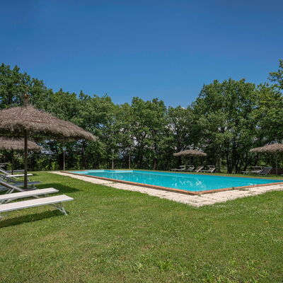 Belvedere - Falceto, Ambra, Toscana: Sky, Property, Plant, Water, Swimming Pool, Shade, Tree, House, Land Lot, Grass