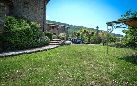 Colle Degli Ulivi - Cortona, Pool, Nature, Privacy: Plant, Sky, Property, Building, Leaf, Land Lot, Vegetation, Natural Landscape, Biome, Grass