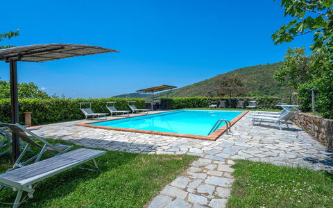 Colle Degli Ulivi - Cortona, Pool, Nature, Privacy: Water, Sky, Plant, Swimming Pool, Umbrella, Outdoor Furniture, Building, Shade, Rectangle, Tree