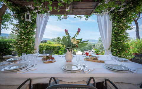 Villa Recanati, Val D'orcia, Private Pool, Jacuzzi: Table, Tableware, Plant, Furniture, Chair, Dishware, Tablecloth, Sky, Interior Design, Decoration