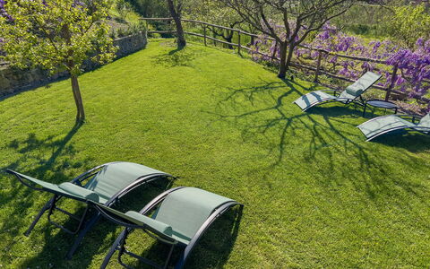 La Casa Dei Glicini - Levanto: Plant, Plant Community, Motor Vehicle, Natural Landscape, Wheel, Tree, Land Lot, Grass, Shrub