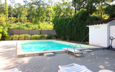 Pupa House: Plant, Property, Swimming Pool, Water, Shade, Tree, Outdoor Furniture, Building, Flooring, Floor