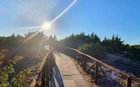 La Butterfly: Sky, Plant, Natural Landscape, Wood, Sunlight, Thoroughfare, Tree, Grass, Road, Landscape