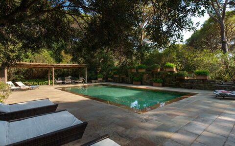 Villa La Pineta: Water, Plant, Property, Swimming Pool, Tree, Outdoor Furniture, Shade, Grass, Leisure, Real Estate