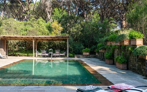 Villa La Pineta: Plant, Water, Swimming Pool, Tree, Grass, Leisure, Residential Area, Shade, Real Estate, Landscape