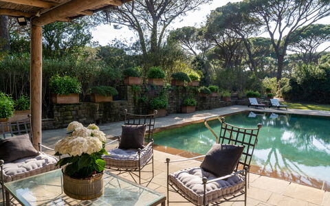 Villa La Pineta: Water, Plant, Furniture, Property, Swimming Pool, Tree, Outdoor Furniture, Chair, Flowerpot, Shade