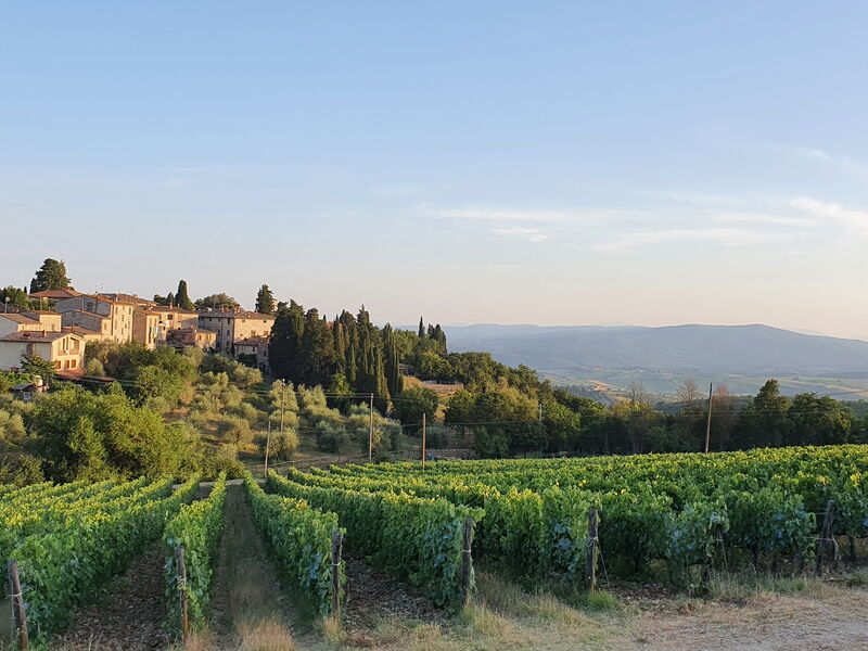 Il Nespolo Charming Apartment Fonterutoli - Siena,