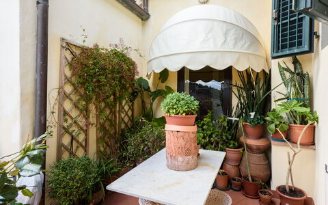 Residenza Del Desco: Plant, Property, Building, Flowerpot, Houseplant, Wood, Interior Design, Flooring, Window, Floor