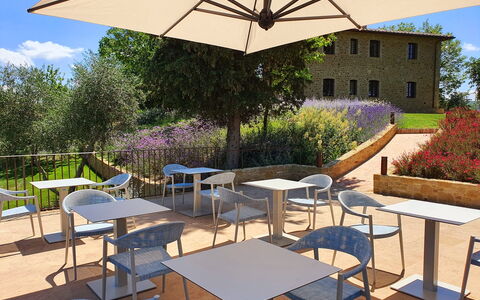 Villa Bartolomeo: Plant, Furniture, Property, Table, Sky, Cloud, Shade, Outdoor Table, Lighting, Interior Design