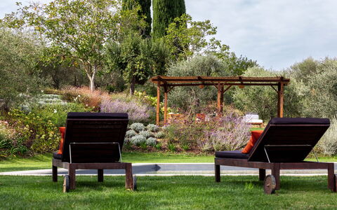 Villa Della Regina: Plant, Outdoor Bench, Furniture, Flower, Botany, Nature, Shade, Outdoor Furniture, Tree