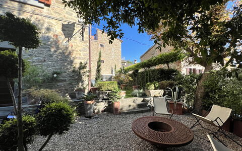 The Architects House: Plant, Building, Flowerpot, Tree, Lighting, Window, Road Surface, Houseplant, Urban Design, Wall