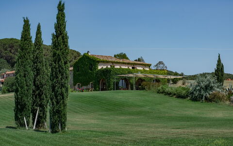 Villa Bagnoli: Sky, Plant, Natural Landscape, Land Lot, Grass, Larch, Tree, Evergreen, Landscape, Grass Family