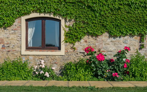 Villa Bagnoli: Flower, Plant, Window, Leaf, Botany, Architecture, Vegetation, Building, Rectangle, Grass