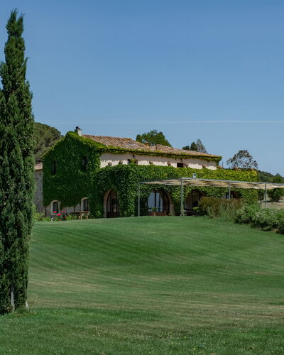 Villa Bagnoli: Sky, Plant, Natural Landscape, Land Lot, Grass, Larch, Tree, Evergreen, Landscape, Grass Family