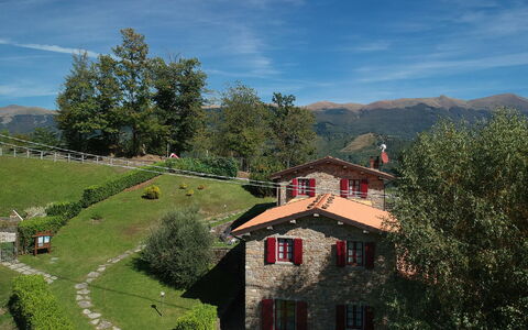 La Vecchia Fornace La Piastra Apartments - Abetone: Cloud, Sky, Plant, Window, Natural Landscape, Mountain, Slope, Land Lot, Vegetation, Tree