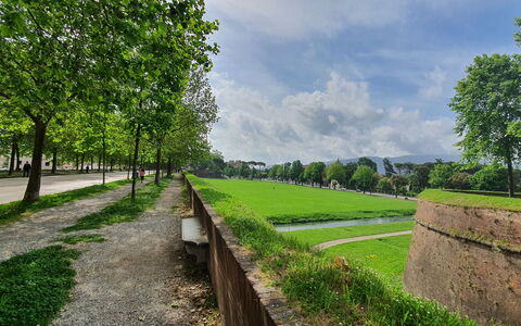Casa Toto: Green, Grass, Plain, Groundcover, Garden, Lawn, Landscaping, Walkway, Park, Plantation