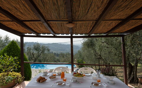 Casa Mimy: Table, Furniture, Tableware, Plant, Tree, Shade, Interior Design, Chair, Wine Glass, Outdoor Furniture