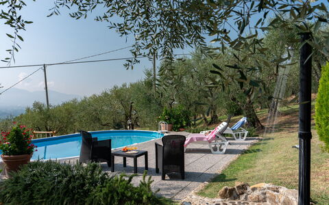 Casa Mimy: Plant, Sky, Water, Swimming Pool, Shade, Tree, Outdoor Furniture, Grass, Leisure, Landscape