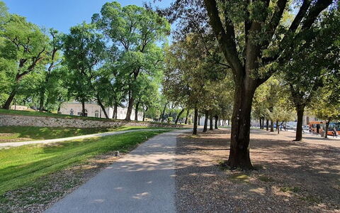 La Colonna: Plant, Sky, Tree, Road Surface, Shade, Natural Landscape, Thoroughfare, Grass, Landscape, Asphalt